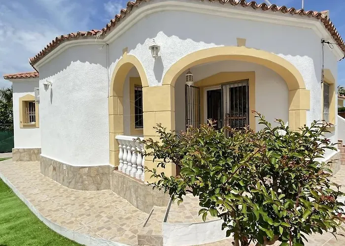 Bassetes By El Conserje